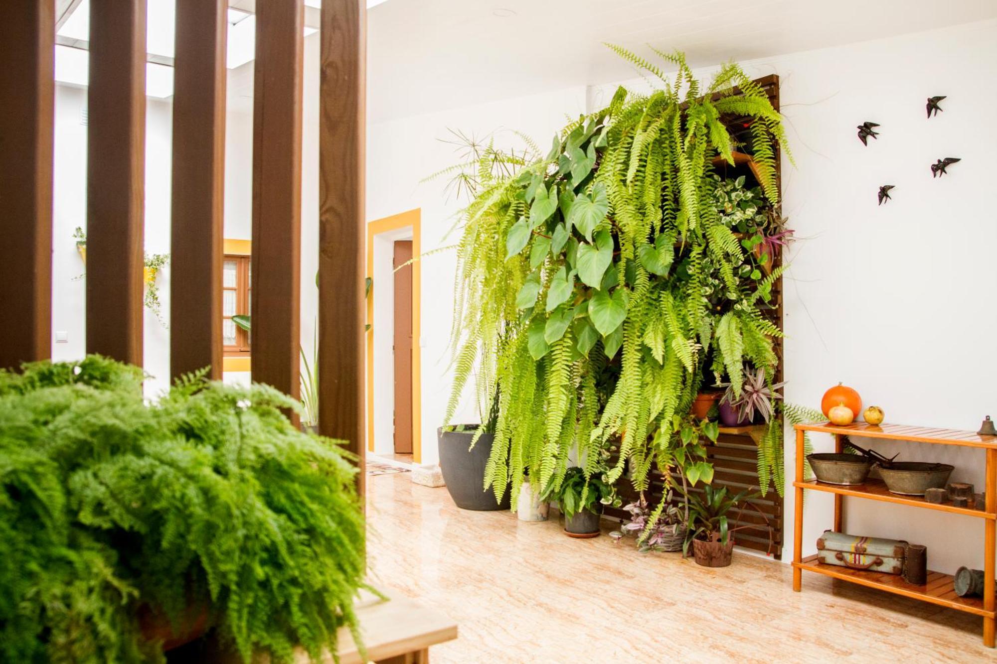 Casa Da Avo Guilhermina Leiria Extérieur photo